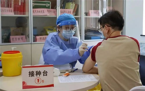 文明网联盟 上海 徐汇