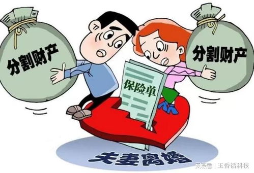 共同财产离婚怎么分配