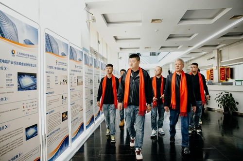 专业多元服务助力 翘楚咨询成功登陆上股交