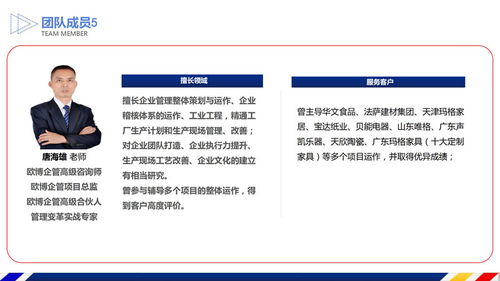 咨询服务